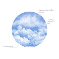 Spray Tejido Clásico  250ml-195055 Spray Tejido Clásico  250ml-195055 1